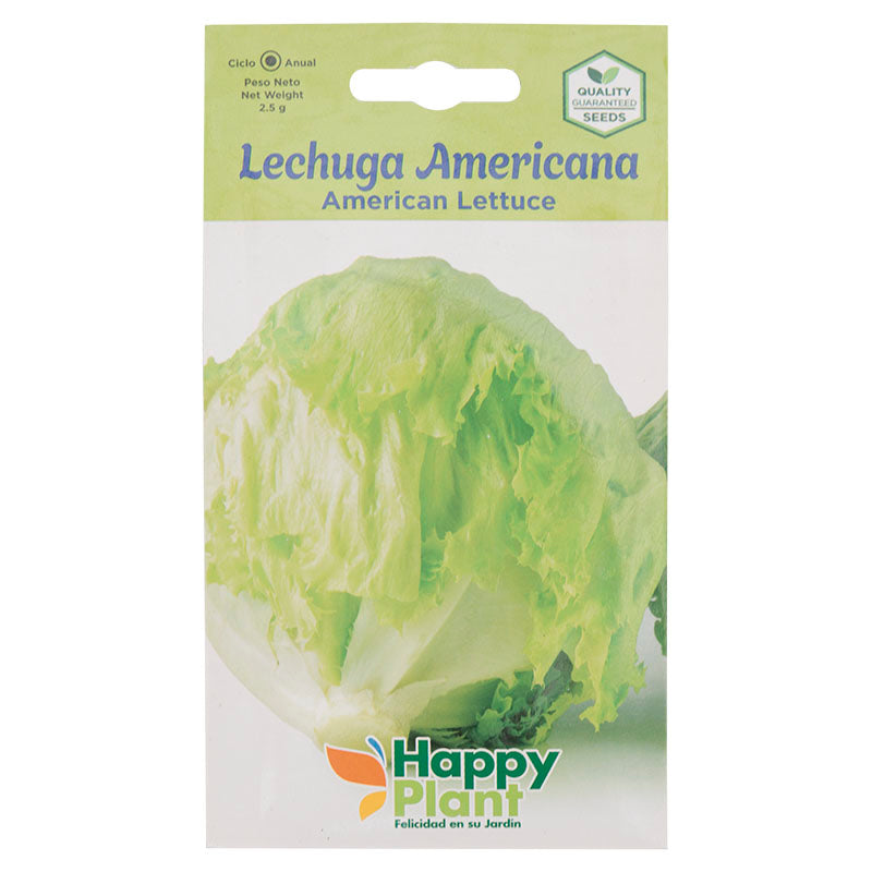 Semillas de lechuga americana