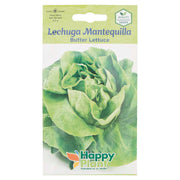 Semillas de lechuga mantequilla