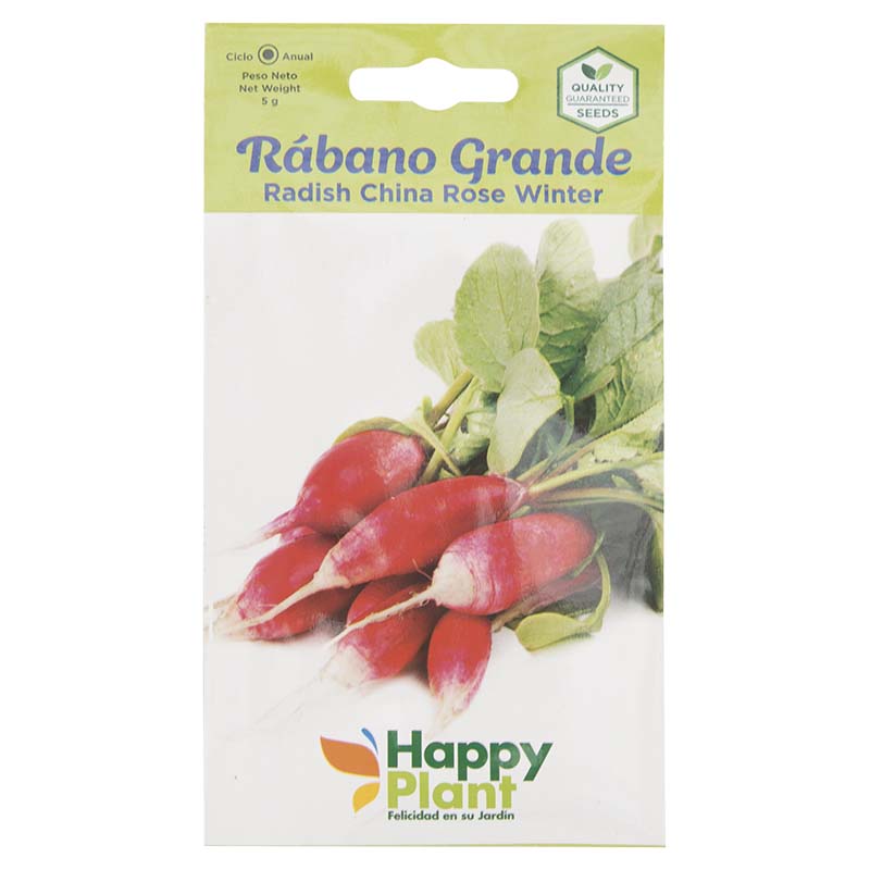 Semillas de rábano grande