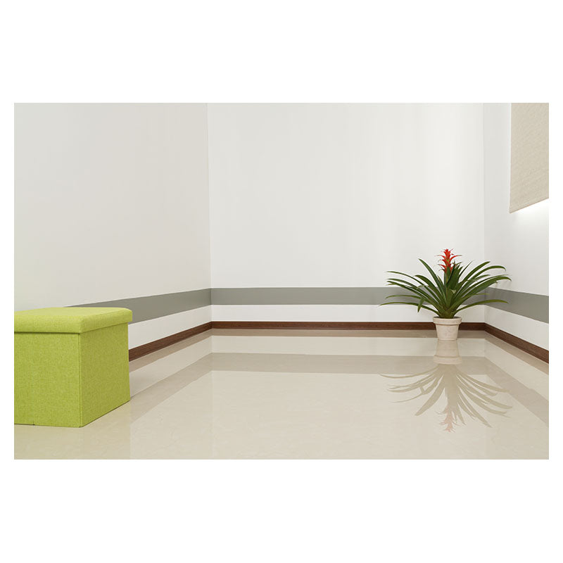 Bromelia grande (Únicamente para retiro en tienda)