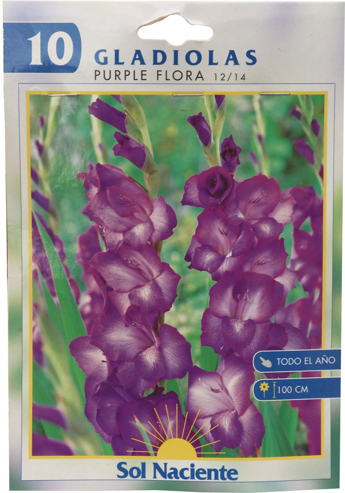 Paquete Gladiola mixta 10 uds