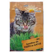 Cat grass seed