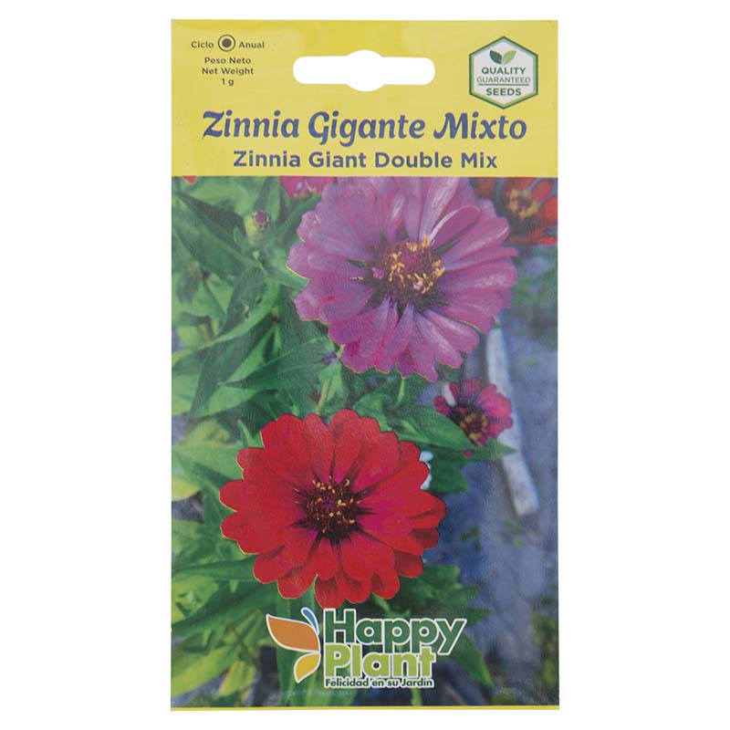 Semillas de zinnia gigante mixto
