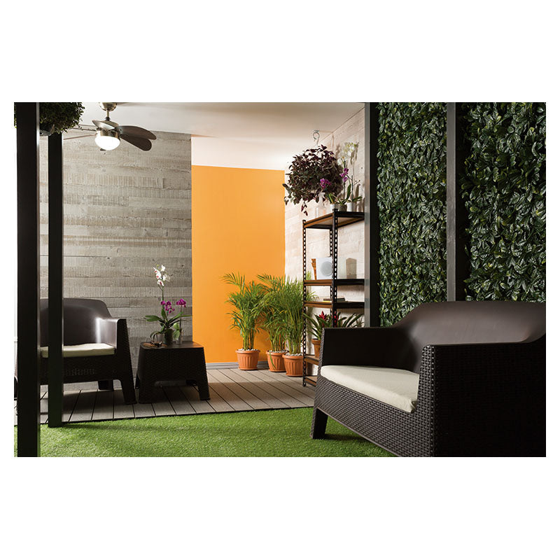 Palmera areca múltiple (Únicamente para retiro en tienda)