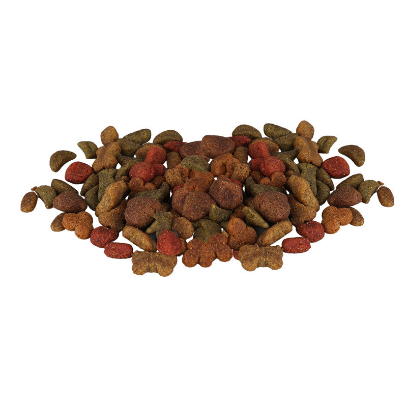 Alimento Beneful con salmón 10 kg