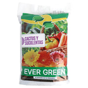 Cactus and succulent potting mix 5 liters (3 kg)