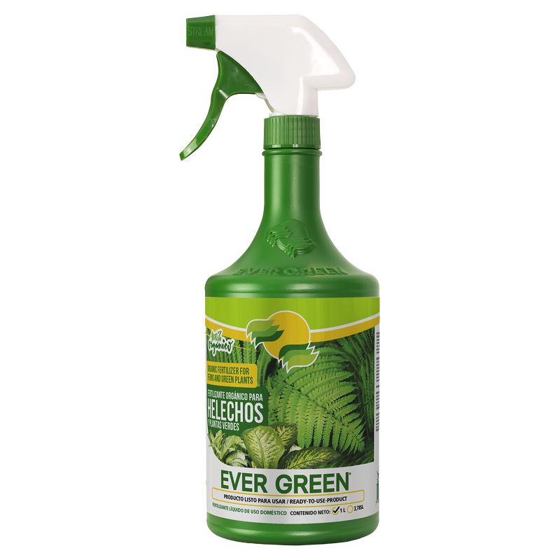Fertilizante orgánico para helechos y plantas verdes 1 litro