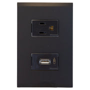 Single Wall Outlet + USB Black