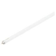 32W T8 Cool White Fluorescent Tube