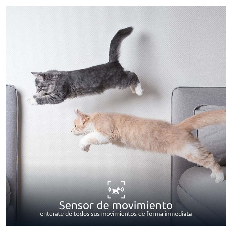 Dispensador Inteligente de alimento para mascotas Wi-Fi y cámara integrada Nexxt