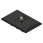 Placa toma coaxial negro línea Plata