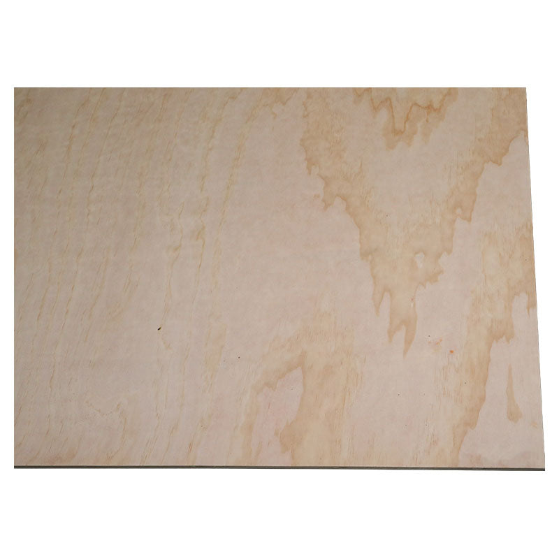 Plywood de pino fenólico B / C (1.22 x 2.44) m 15 mm