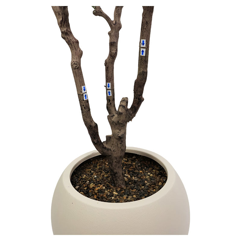 Árbol de olivo 200 cm con maceta