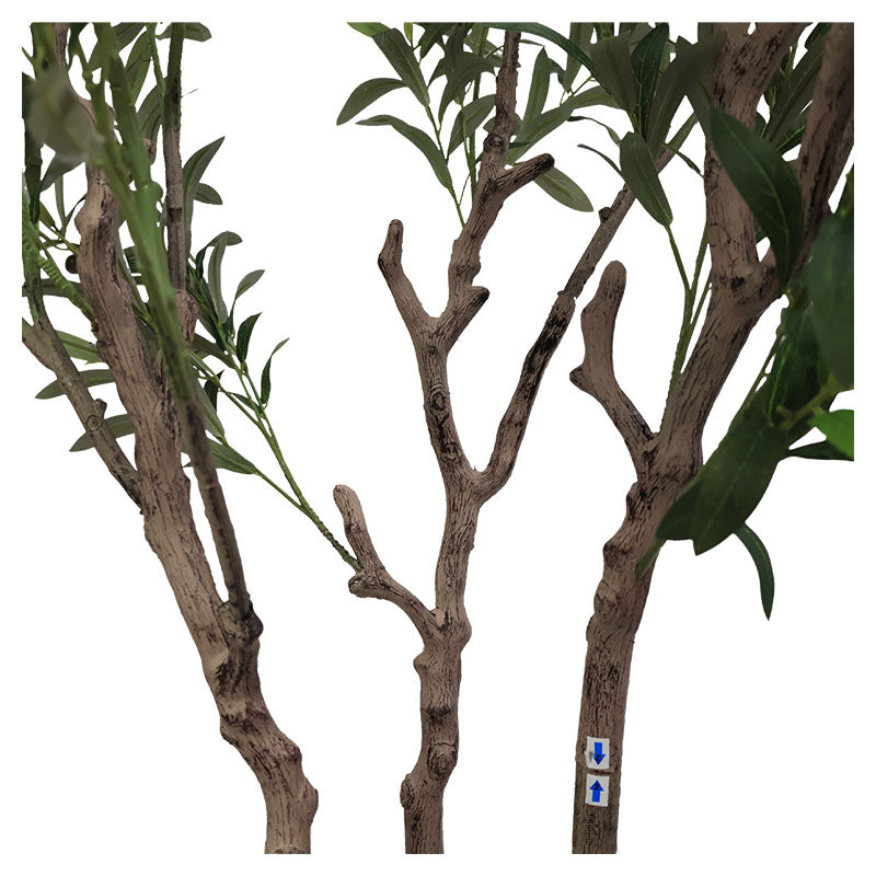 Olive tree 200 cm with pot