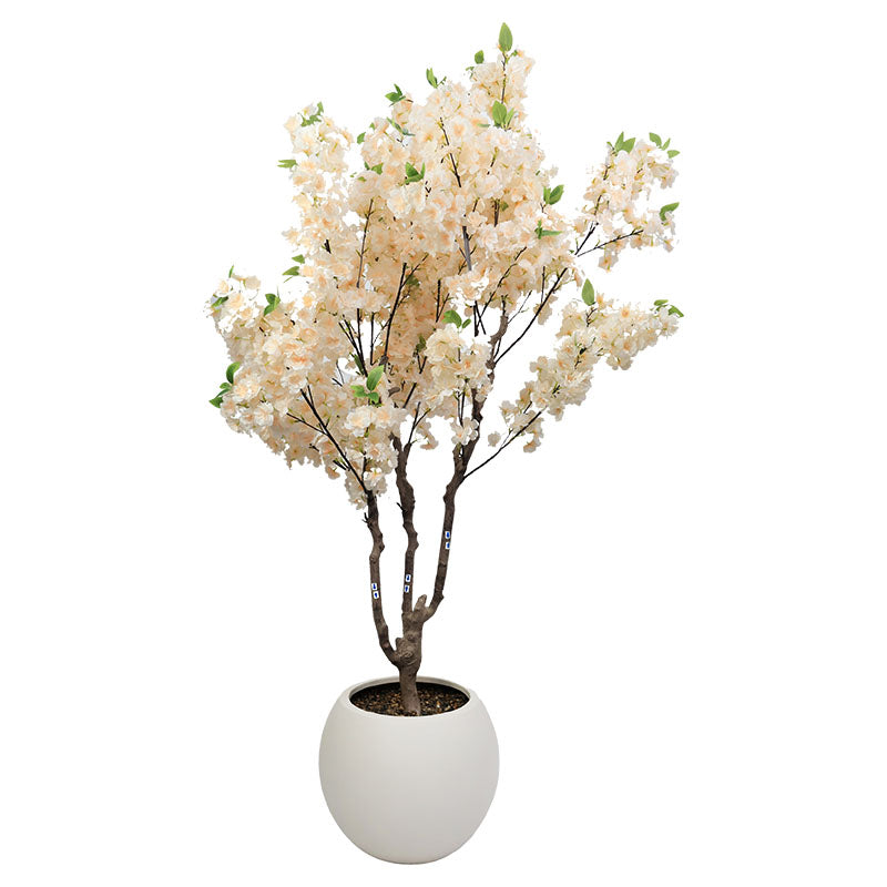 Árbol de sakura 200 cm con maceta
