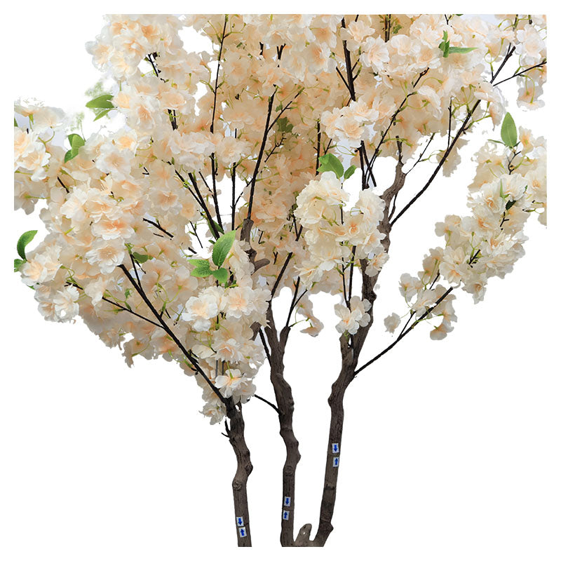Sakura Tree 200 cm with Pot