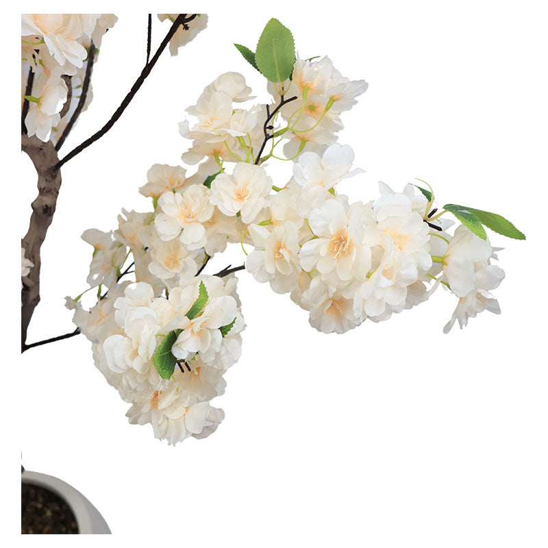 Sakura Tree 200 cm with Pot