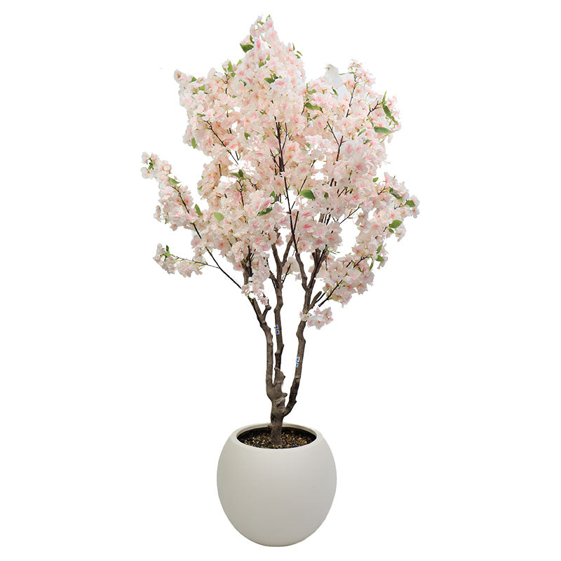 Árbol de Cerezo 200 cm con maceta