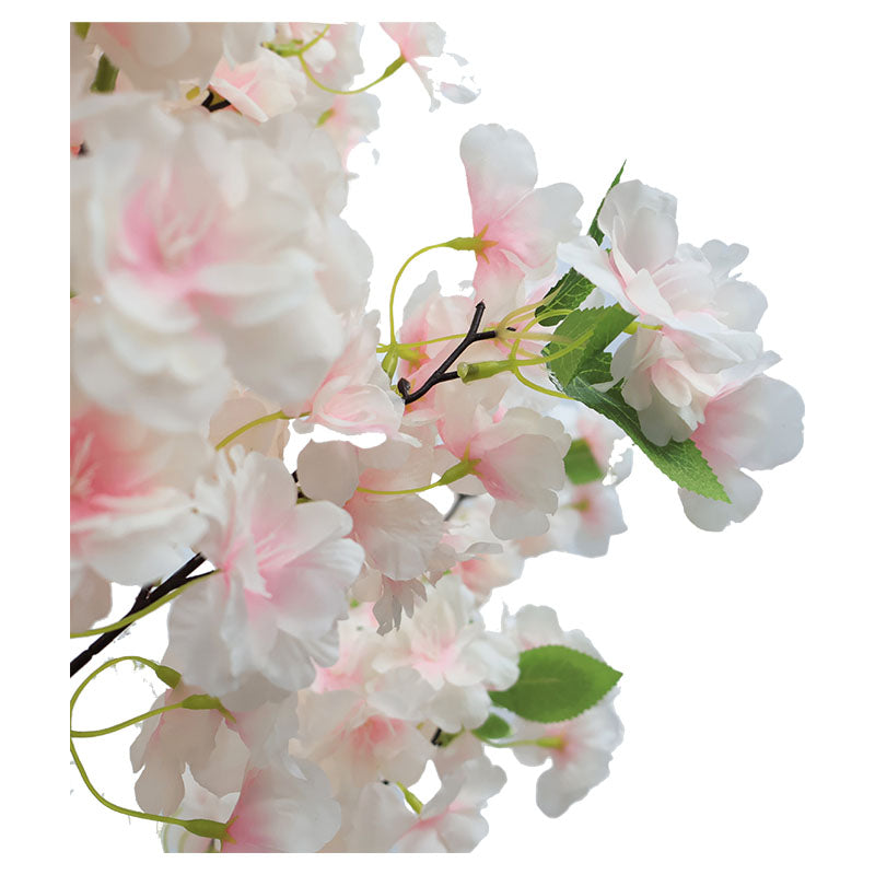 Cherry Tree 200 cm with pot