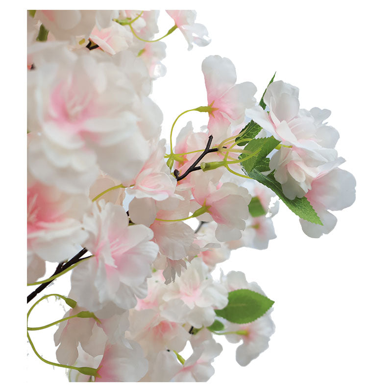 Cherry Tree 200 cm with pot