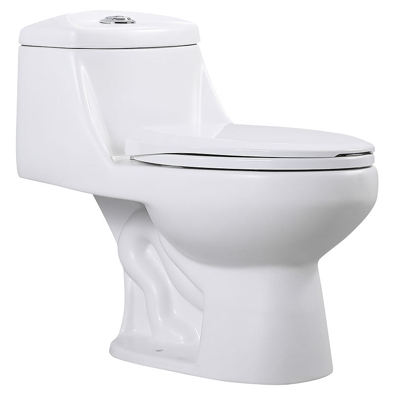 Aqua Nuova Senio Max One-Piece Elongated Matte White Toilet Dual Flush 4 and 6 L