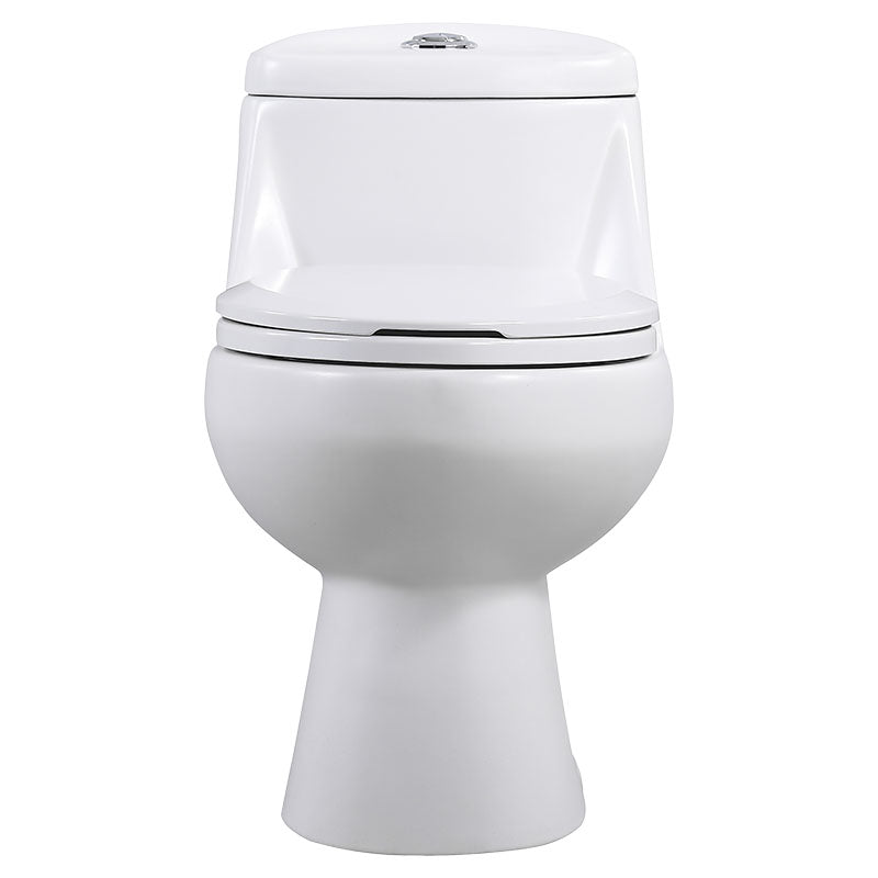Aqua Nuova Senio Max One-Piece Elongated Matte White Toilet Dual Flush 4 and 6 L