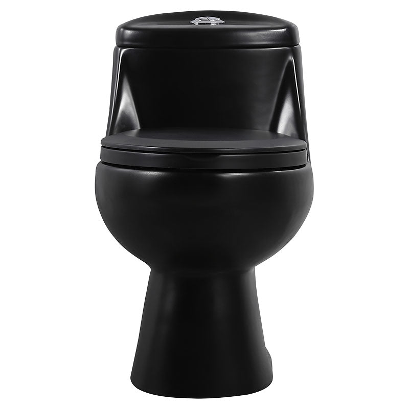 Aqua Nuova Senio Max Elongated Matte Black One-Piece Dual Flush Toilet 4/6L