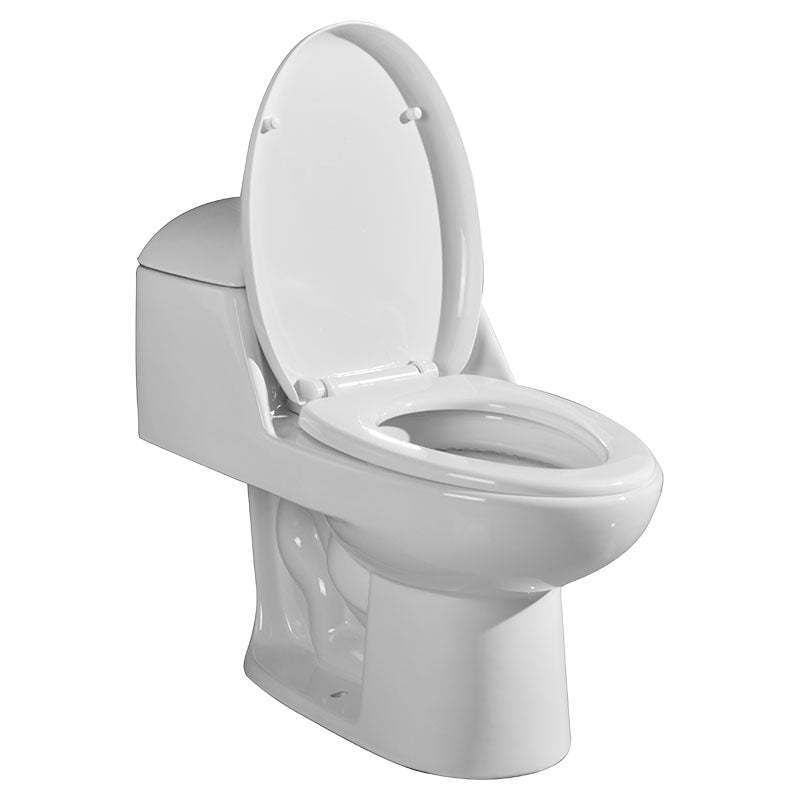 Ronco one-piece elongated white toilet, dual flush 4 and 6 L Aqua Nuova