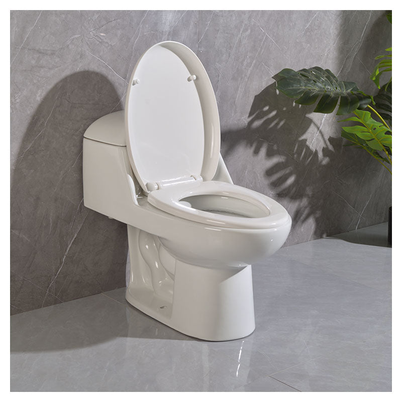 Ronco one-piece elongated white toilet, dual flush 4 and 6 L Aqua Nuova