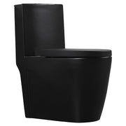 Aqua Nuova Taro One-Piece Matte Black Elongated Dual Flush 4/6L Toilet