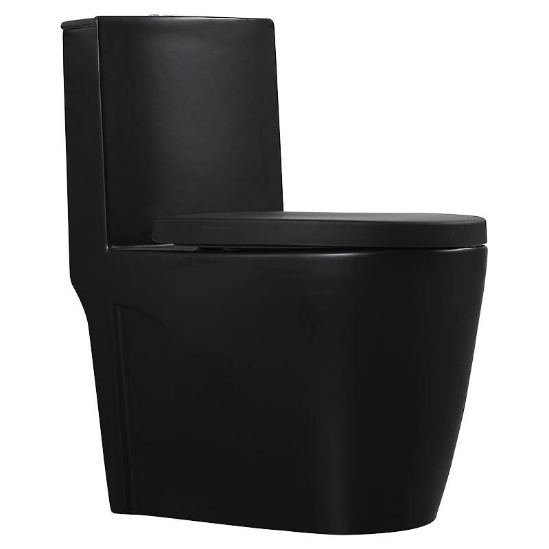 Aqua Nuova Taro One-Piece Matte Black Elongated Dual Flush 4/6L Toilet