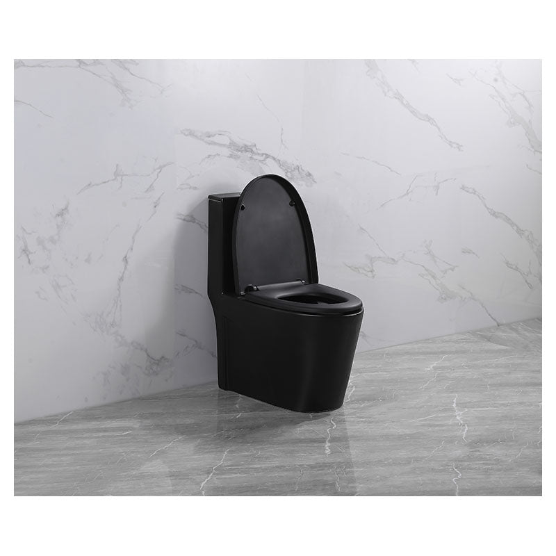Aqua Nuova Taro One-Piece Matte Black Elongated Dual Flush 4/6L Toilet