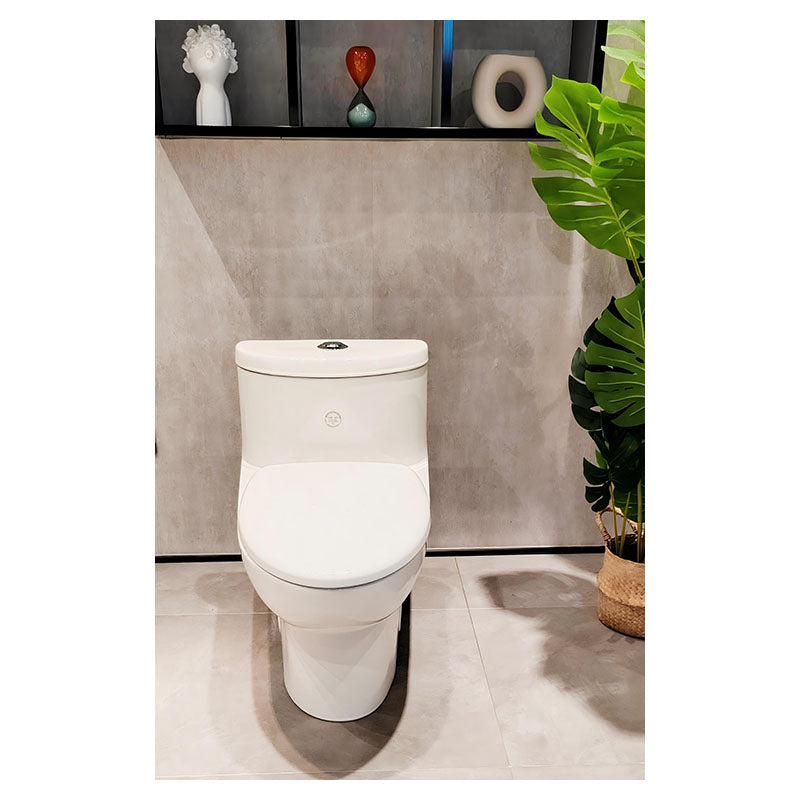 Catania One-Piece Elongated Dual Flush Toilet 4.2/6 L Aqua Nuova