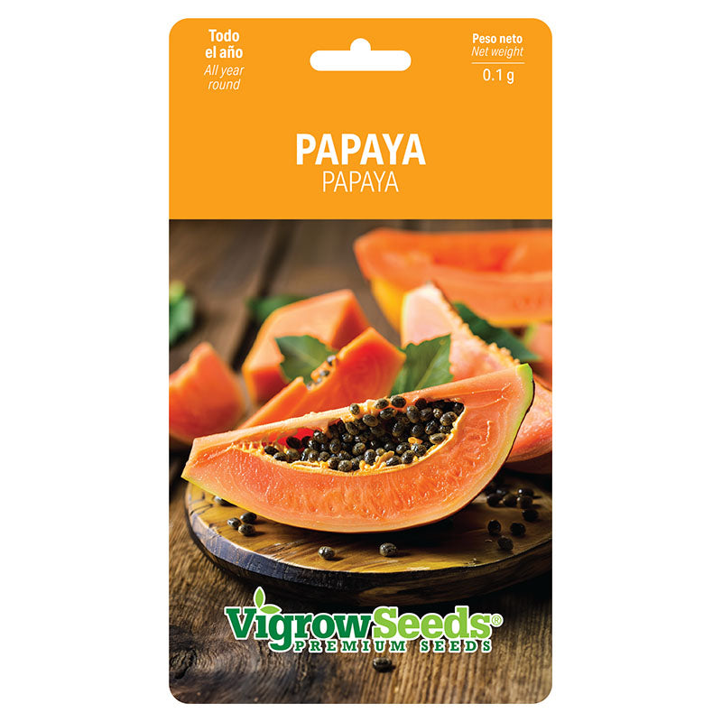 Semilla papaya 0,1 g Vigrow Seeds.