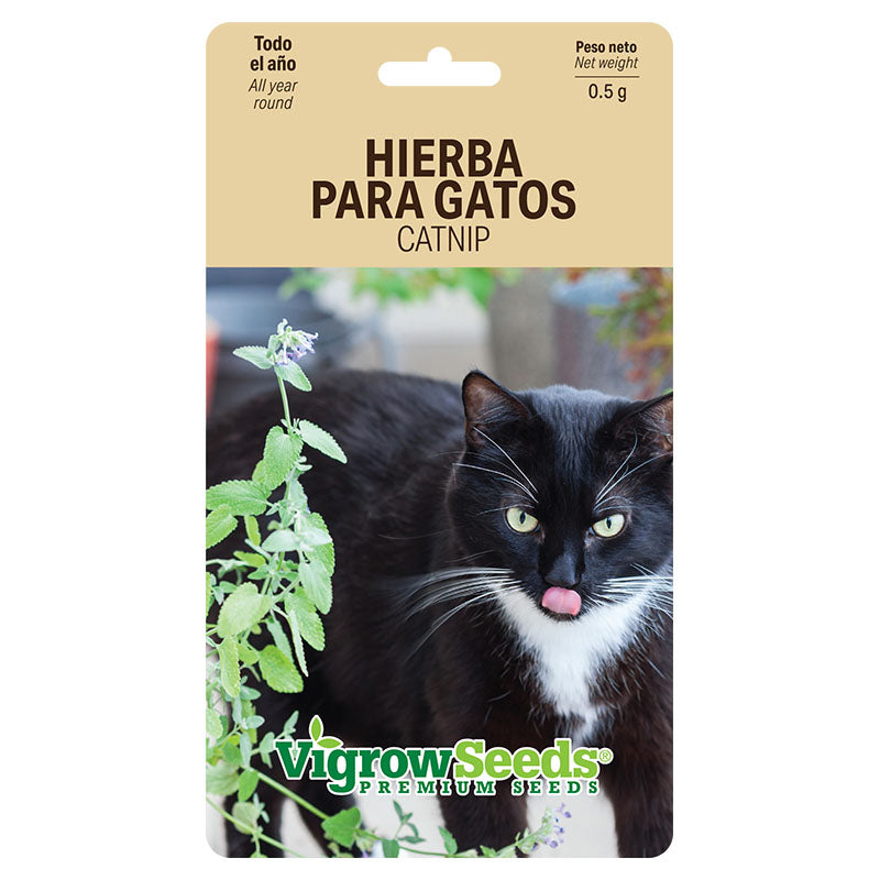 Catnip cat grass seeds 0.5 g Vigrow Seeds.