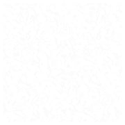51x51 cm White Nevado ceramic tile 2.08m2