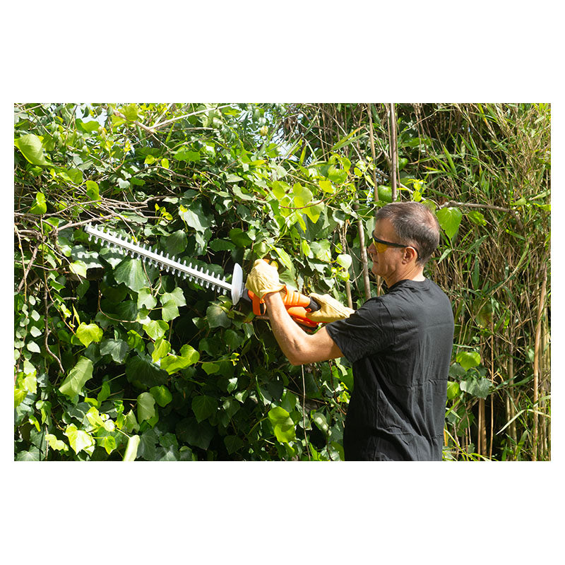 20" 20V Cordless Hedge Trimmer Daewoo (battery sold separately)