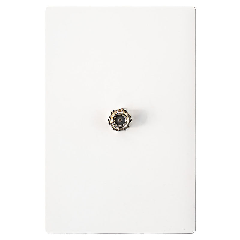 Toma para TV coaxial empotrado blanco Eagle Altiva completo