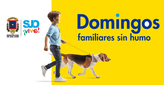 <a href="https://cr.epaenlinea.com/ideas/novedades/traiga-a-su-mascota-a-los-domingos-familiares-sin-humo.html" title="Traiga a su mascota a los “Domingos familiares sin humo” | Ferretería EPA">Traiga a su mascota a los “Domingos familiares sin humo”</a>