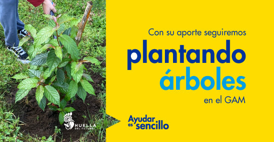 <a href="https://cr.epaenlinea.com/accion-social/ayudar-es-sencillo/huella-del-futuro-2025.html" title="Huella del Futuro 2025 | Ferretería EPA">Huella del Futuro 2025</a>