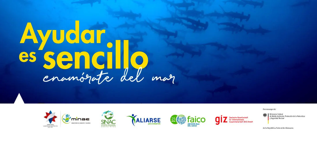 <a href="https://mcprod.epaenlinea.com/accion-social/ayudar-es-sencillo/alianza-por-la-educacion-y-conservacion-marina.html" title="Alianza por la Educación y Conservación Marina |  Ferretería EPA">Alianza por la Educación y Conservación Marina</a>