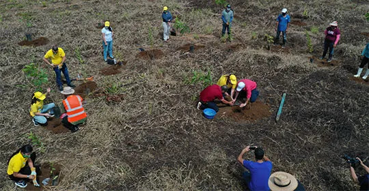 <a href="https://cr.epaenlinea.com/accion-social/ayudar-es-sencillo/bosque-huella-amarilla-tiene-sus-primeros-1-000-arboles-sembrados-gracias-a-nuestros-clientes.html" title="Huella Amarilla ya tiene 1000 árboles gracias a donaciones">Huella Amarilla ya tiene 1000 árboles gracias a donaciones</a>
