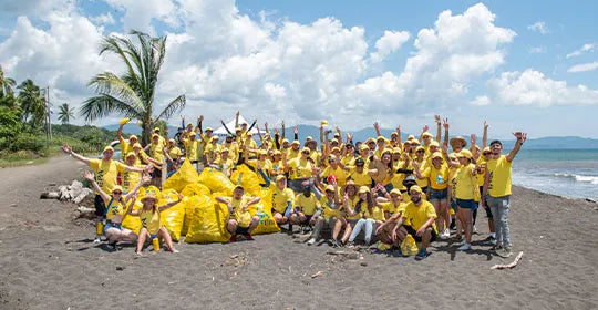 <a href="https://cr.epaenlinea.com/accion-social/ayudar-es-voluntario/limpieza-y-reforestacion-en-playa-guacalillo.html" title="Limpieza y reforestación en playa Guacalillo | Ferretería EPA">Limpieza y reforestación en playa Guacalillo</a>