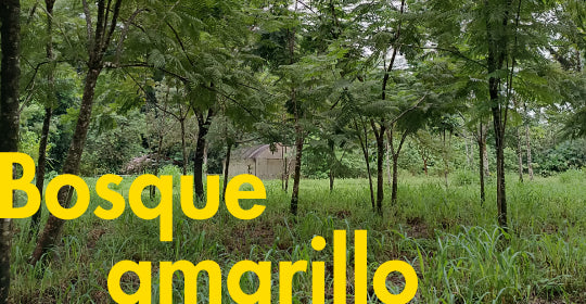 <a href="https://cr.epaenlinea.com/huella-del-futuro-2026.html" title="Huella del Futuro 2026 | Ferretería EPA">Huella del Futuro 2026</a>