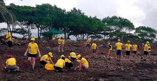 <a href="https://cr.epaenlinea.com/accion-social/ayudar-es-voluntario/limpieza-de-playa-hermosa.html" title="Limpieza de Playa Hermosa">Limpieza de Playa Hermosa</a>