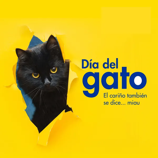 <a href="https://cr.epaenlinea.com/dia-del-gato.html"><strong>Día del gato</strong></a>