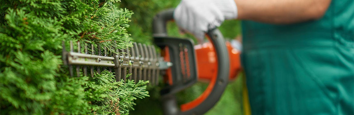 5 herramientas eléctricas indispensables para embellecer su jardín