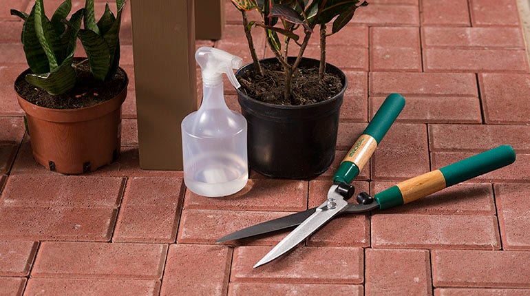 Todo lo necesario para garantizar la plantación correcta | Ferretería EPA